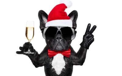 CHRISTMAS PARTY IS THIS SATURDAY!