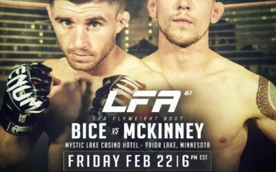 NO FIGHTS THIS WEEKEND