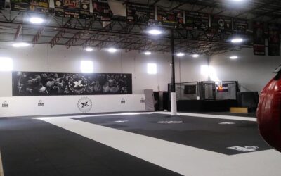 NEW FUJI MATS!