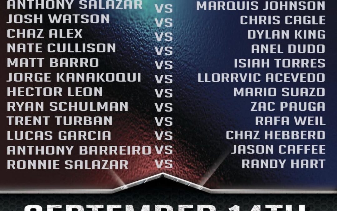 FIGHT ANNOUNCEMENT FOR LLORRVIC, MARIO AND RAFA!