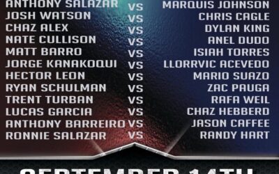 FIGHT ANNOUNCEMENT FOR LLORRVIC, MARIO AND RAFA!