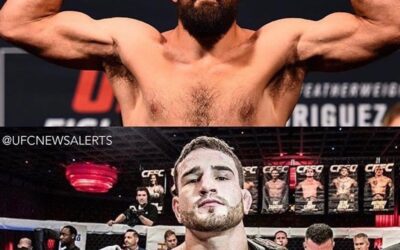 COURT MCGEE FIGHT ANNOUNCEMENT!