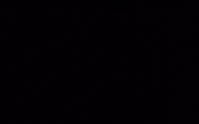BLACK OUT TUESDAY